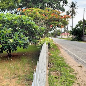 Grundst�ck ist ummauert