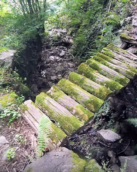 Br�cke vom Bach des Rusticos