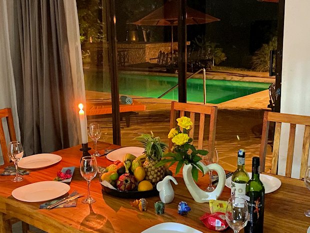 Blick zur Terrasse und Pool