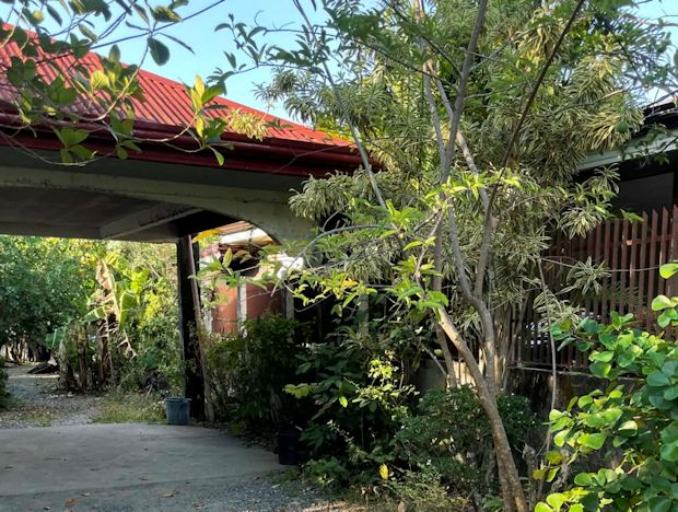 Einfahrt zum Carport des Ausbauhauses