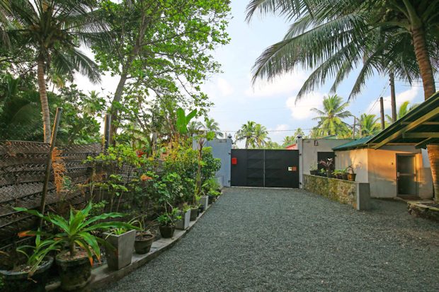 Grundst�ck der Pension in Habaraduwa