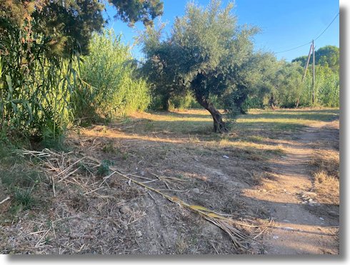 Finikounda Grundst�ck nah dem Meer und Strand zum Kaufen
