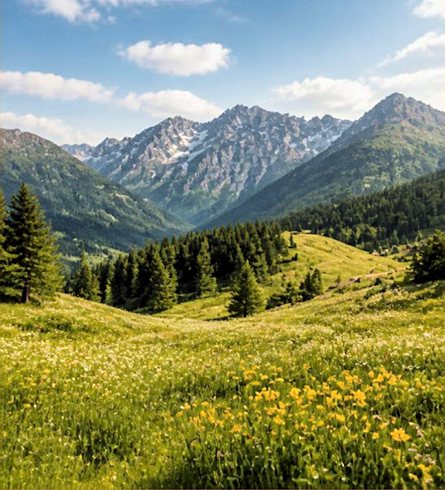 gro�es Grundst�ck Baugrundst�ck in Montenegro
