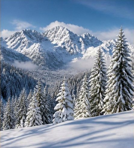  Landschaft im Winter der Gemeinde Kolasin Montenegro