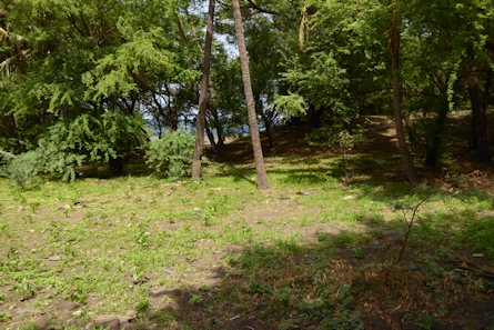 Blick zum Strand vom Grundst�ck