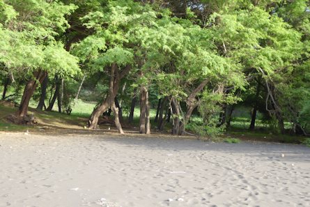 Strandanschluss vom Grundst�ck