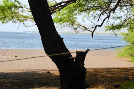 Blick zum Meer vom Grundst�ck
