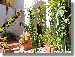 Stadthaus Wohnhaus mit Patio in Jerez de la Frontera Andalusien Spanien