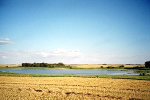 Grundst�ck bei Dundurn Saskatchewan Kanada