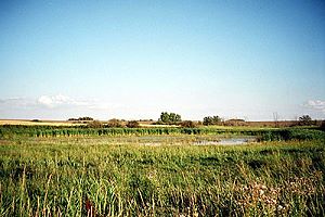 Ackerland bei Dundurn Kanada