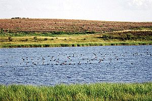 Ackerland am See in Kanada