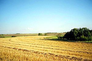 Ackerland Provinz Saskatchewan Kanada