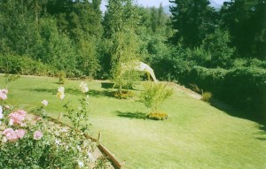gepflegtes Grundstck Garten vom Einfamilienhaus