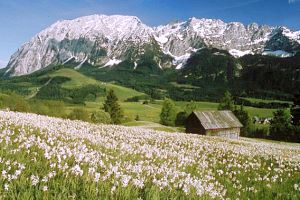 Ausblick vom Haus