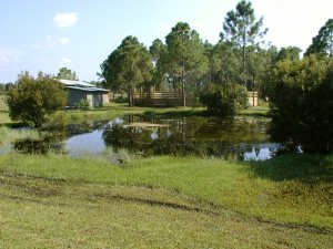 Teich auf der Pferderanch