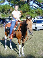Pferderanch im Lee County Florida