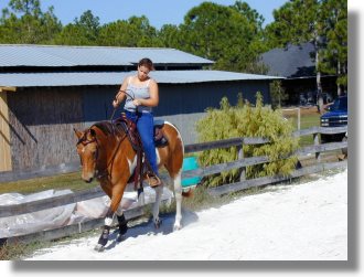 Pferderanch im Lee County Florida