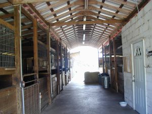Stall der Pferdseranch