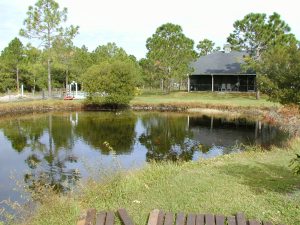 kleiner Teich der Ranch