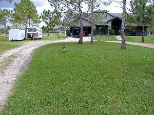 Wohnhaus der Pferderanch