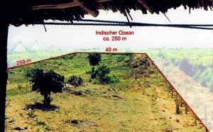 Grundstck vom Wohnhaus in Mtwapa