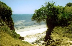 Kste von Mtwapa unweit vom Wohnhaus