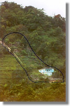 Haus mit gro�en Grundst�ck auf Jamaika Jamaica zum Kaufen