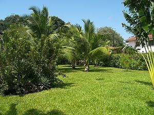 Grundstck der Cottage