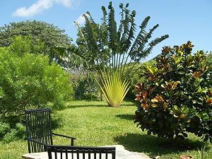 gepflegtes Grundstck der Cottage