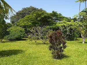 Grundstck vom Gstehaus