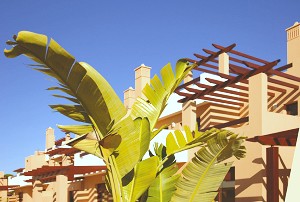 Ferienhuser mit Terrasse in Vilamoura Portugal