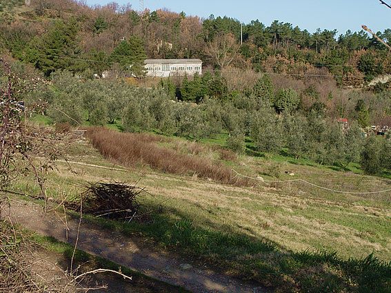 Grundstck mit Lagerhalle bei Pisa der Toscana Italien