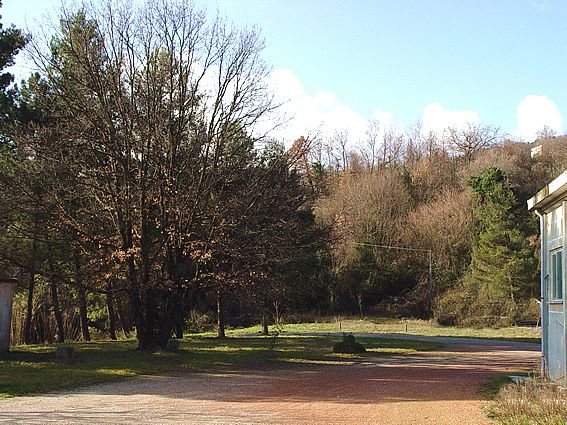 Baugrundstck in Chianni Italien