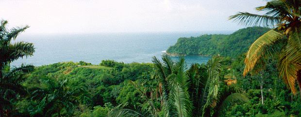 Ferienhaus der Ausblick auf das Meer