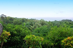 Meerblick vom Ferienhaus auf Tobago