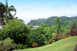 Blick vom Grundst�ck des Ferienhauses