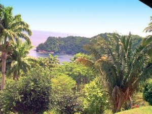 Ausblick vom Ferienhaus