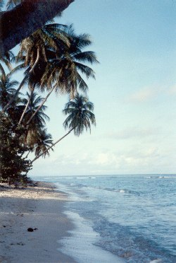 Strand von Tobago unweit vom Ferienhaus