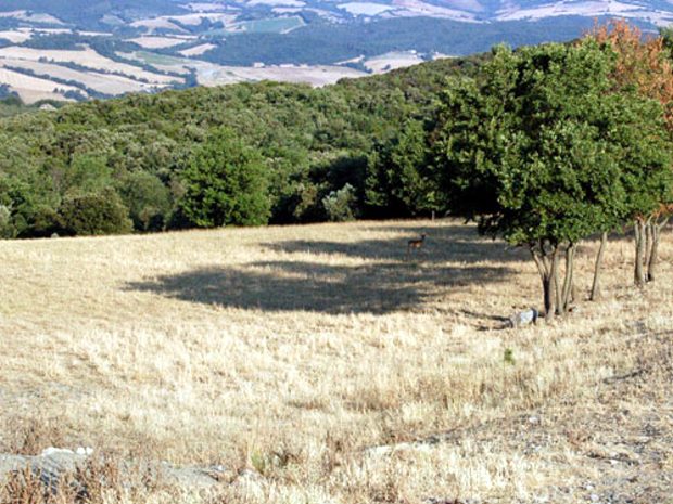Grundstck fr Ferienhuser Villen Einfamilienhuser in der Toskana