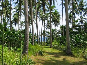 Weg zum Strand vom G�stehaus