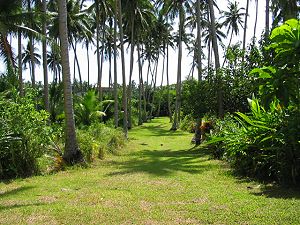 Grundst�ck der H�user