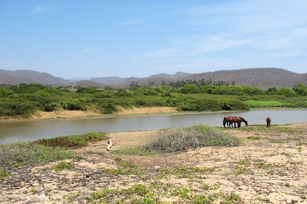 Baugrundstck am Meer und Kste bei Puerto Vallarta Mexiko