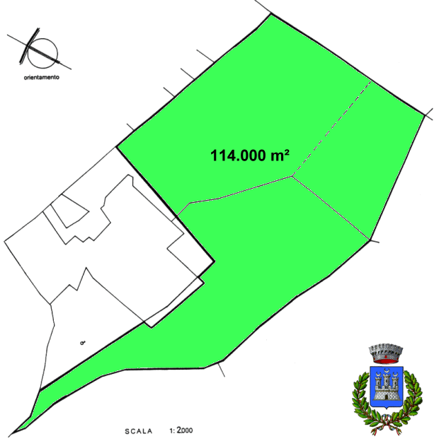 Grundstck Olivenhain in der Provinz Grosseto Toskana Italien