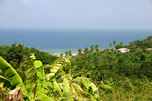Ausbauhaus mit Meerblick im nrdlichen Dominica
