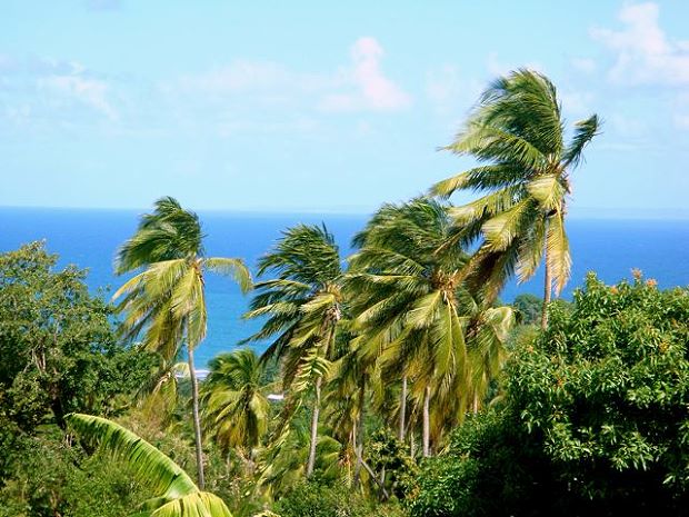 Baugrundstck der Insel Dominica mit Meerblick