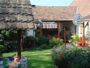 Garten vom Gehöft in Südungarn Garten vom Gehöft in Südungarn