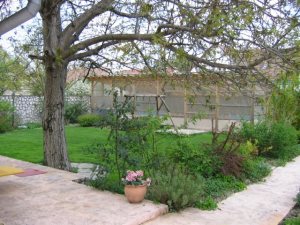 Grundstück Garten vom Reiterhof Grundstück Garten vom Reiterhof