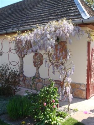 ungarischer Reiterhof ungarischer Reiterhof