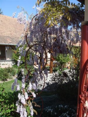 Reitanlage in Ungarn Reitanlage in Ungarn