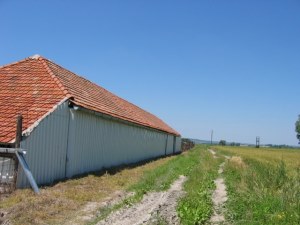 Reitanlage Stallung in Bata Ungarn zum Kaufen Reitanlage Stallung in Bata Ungarn zum Kaufen